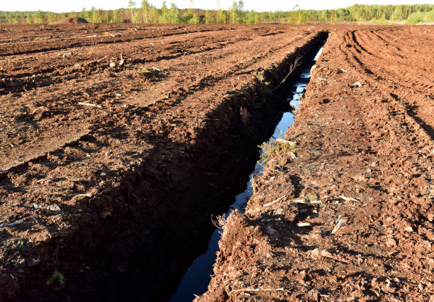 istock Drainage ditch in the peat extraction site. Drainage and destruction of peat bogs. 1278920751