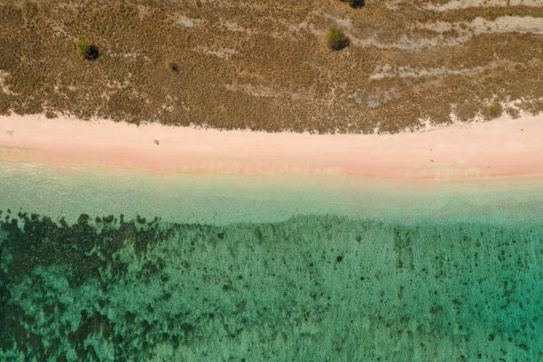istock Aerial view Pale pink sandy beach with clear waters & reef teeming with tropical fish & some strong currents, called Pink Beach or Long Island located in Komodo National Park, East Nusa Tenggara, Indonesia. 1278920863