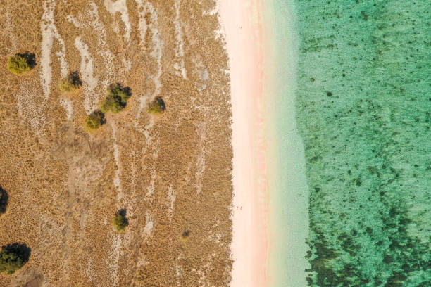 istock Aerial view Pale pink sandy beach with clear waters & reef teeming with tropical fish & some strong currents, called Pink Beach or Long Island located in Komodo National Park, East Nusa Tenggara, Indonesia. 1278920893