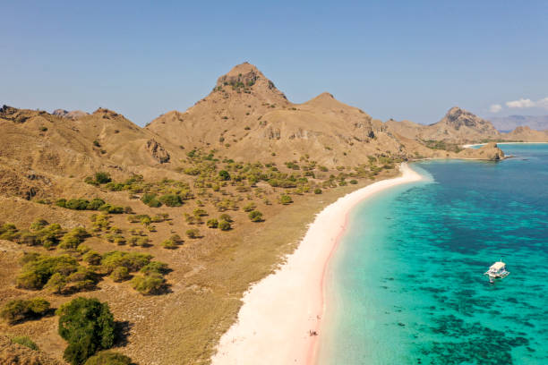 istock Aerial view Pale pink sandy beach with clear waters & reef teeming with tropical fish & some strong currents, called Pink Beach or Long Island located in Komodo National Park, East Nusa Tenggara, Indonesia. 1278920925