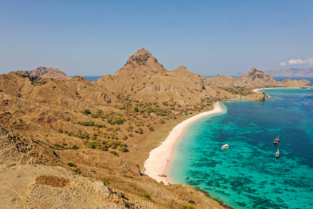 istock Aerial view Pale pink sandy beach with clear waters & reef teeming with tropical fish & some strong currents, called Pink Beach or Long Island located in Komodo National Park, East Nusa Tenggara, Indonesia. 1278920928