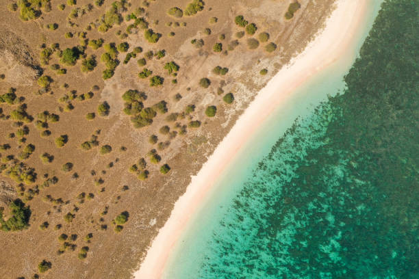 istock Aerial view Pale pink sandy beach with clear waters & reef teeming with tropical fish & some strong currents, called Pink Beach or Long Island located in Komodo National Park, East Nusa Tenggara, Indonesia. 1278920936