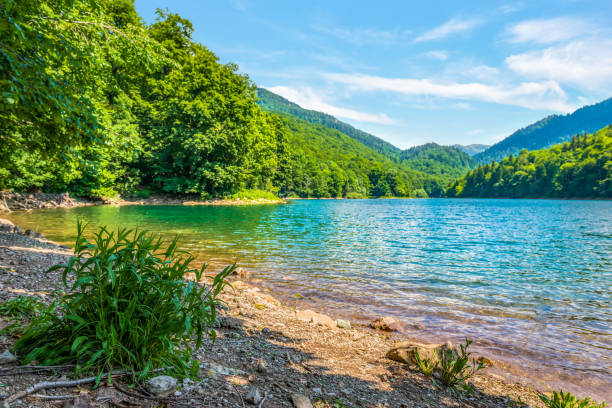istock Biogradsko lake in summer 1278921826