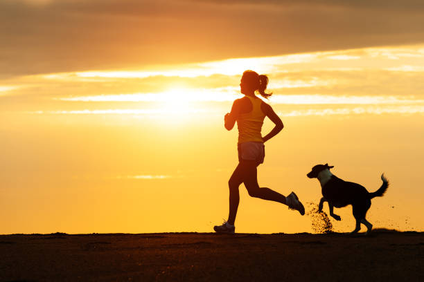 kobieta i pies działa na plaży o zachodzie słońca - sun people jogging sunset zdjęcia i obrazy z banku zdjęć