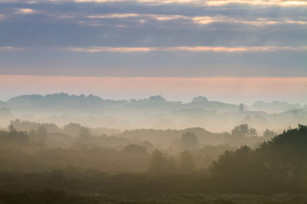 istock Landscape Berkheide dunes in Katwijk, Netherlands 1278924242