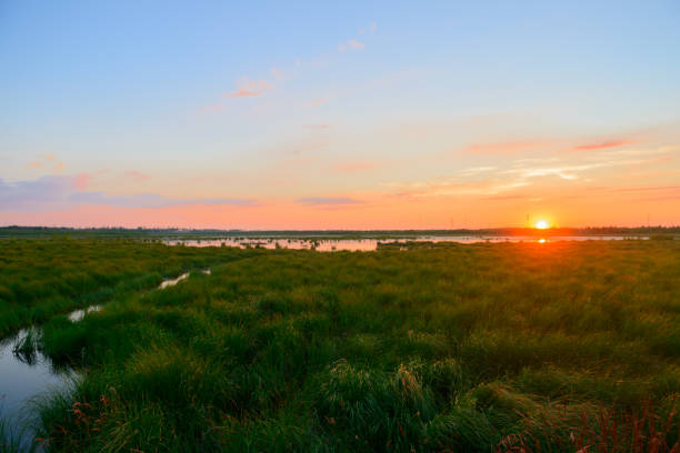 istock Summer evening landscape with a grassy lake 1278932925