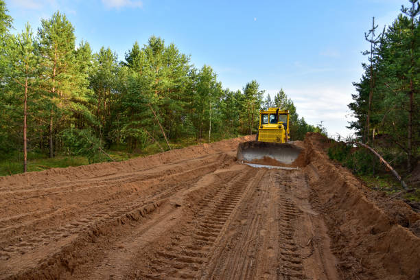 dozer durante el claro del bosque para la construcción de nueva carretera. toro bulldozer amarillo en trabajos forestales equipo de movimiento de la tierra en el trabajo de carretera - grading fotografías e imágenes de stock