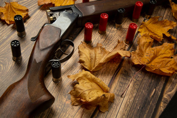 istock Hunting rifle and cartridges 1278936166