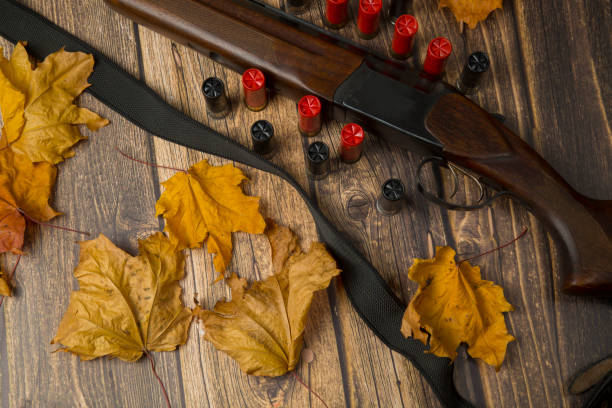 istock Hunting rifle and cartridges 1278936170