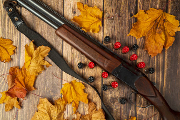 istock Hunting rifle and cartridges 1278936181