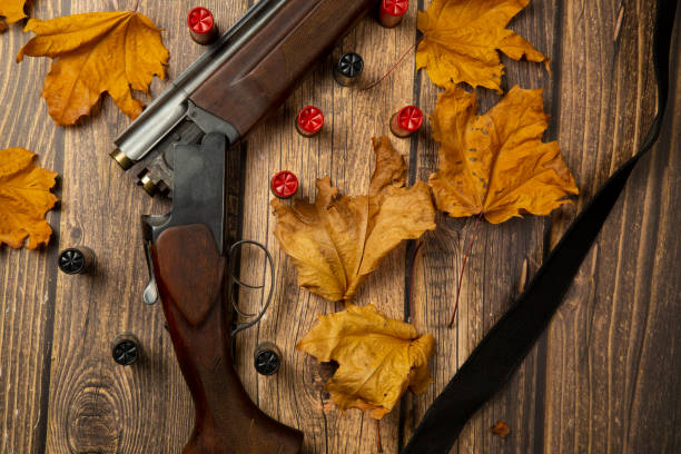 istock Hunting rifle and cartridges 1278936214