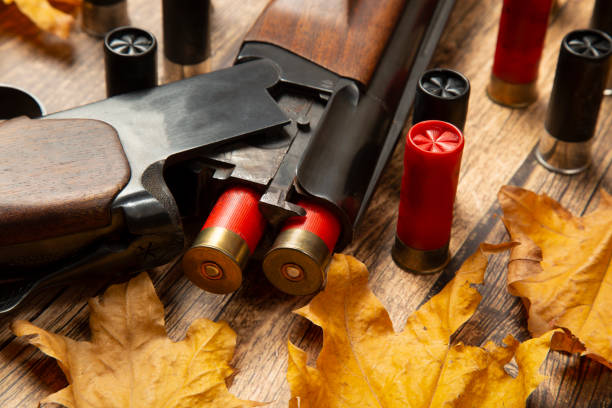 istock Hunting rifle and cartridges 1278936222