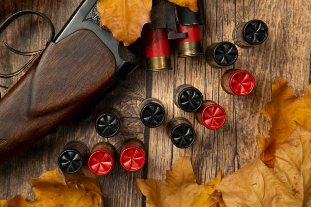 istock Hunting rifle and cartridges 1278936234