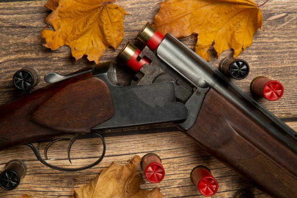 istock Hunting rifle and cartridges 1278936237