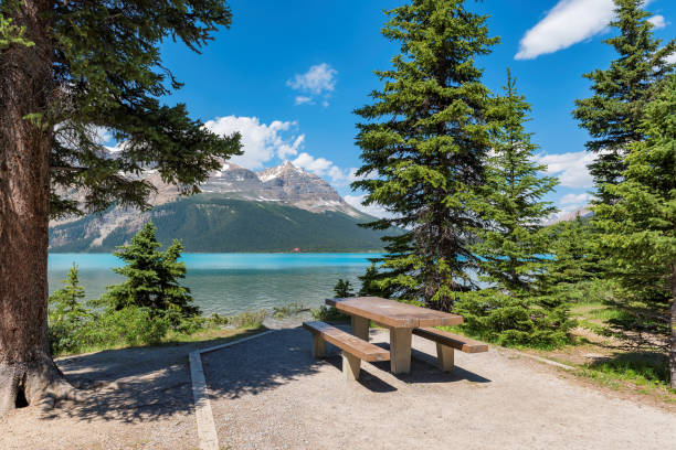 istock A picnic area in Rocky Mountains, Bow Lake, Canada 1278941631