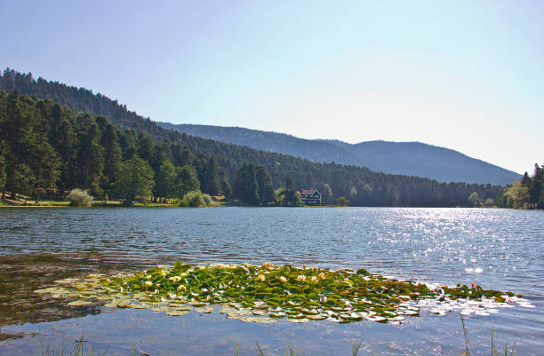 istock Golcuk Lake, Bolu ,Turkey 1278943809