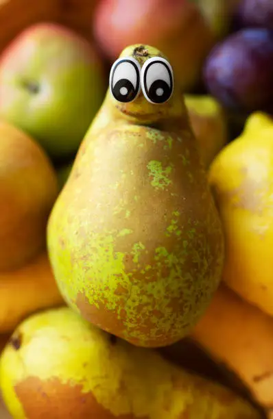 Photo of Pear with eyes lies on the fruits. Homunculus loxodontus.