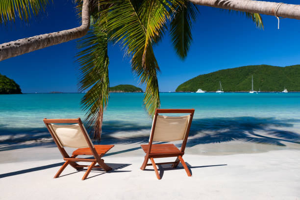 istock chairs under palm trees on a tropical beach in the Caribbean 1278956348