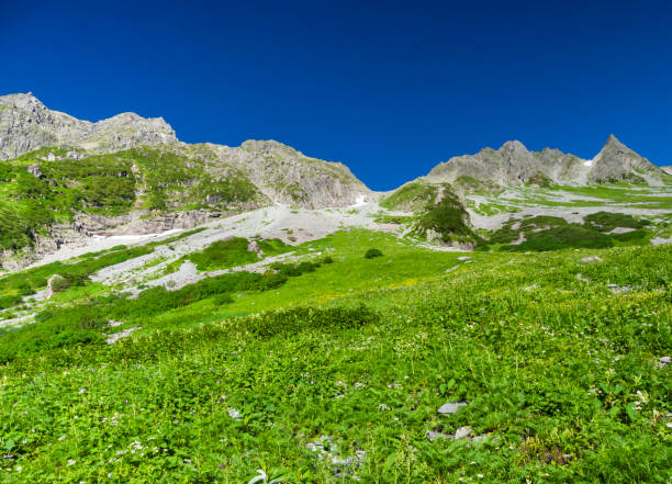 istock mt.okuhotaka in summer 1278957049