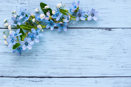 Blue flowers, blue stars, wood grain background, frame, light blue