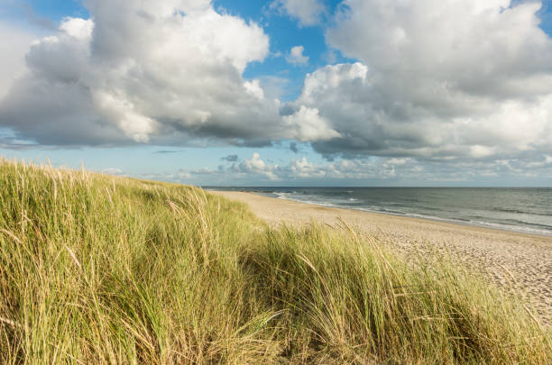 istock Beach with sand dunes and marram grass, blue sky and clouds in soft evening sunset light. Hvidbjerg Strand, Blavand, North Sea, Denmark. 1278958950