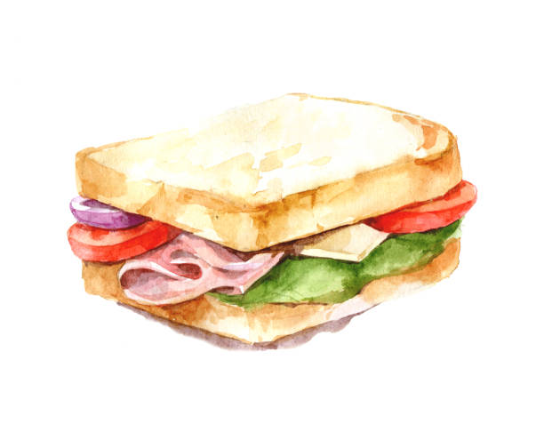 ilustraciones, imágenes clip art, dibujos animados e iconos de stock de ilustración de sándwich de jamón, queso y verduras. acuarela. aislar. - bacon illustration and painting pork ham