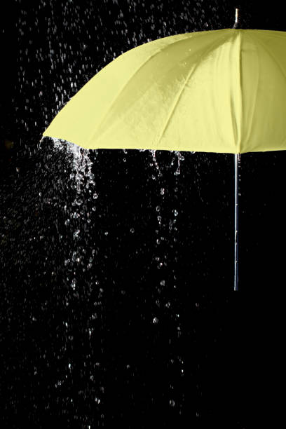istock Yellow umbrella under raindrops with black background 1278961390