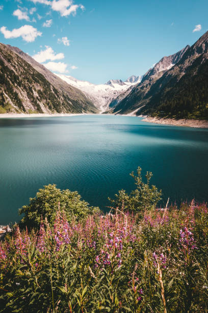 reservatório schlegeis em zillertal, alpes zillertal, tirol, áustria - austria mountain peak mountain panoramic - fotografias e filmes do acervo