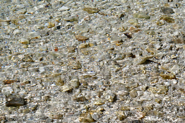 Austria, National Park Kalkalpen Austria, the clear water of the steyr river flows over pebbles in the creek bed in Kalkalpen National Park located in the Pyhrn-Priel holiday region in Upper Austria spital am pyhrn stock pictures, royalty-free photos & images