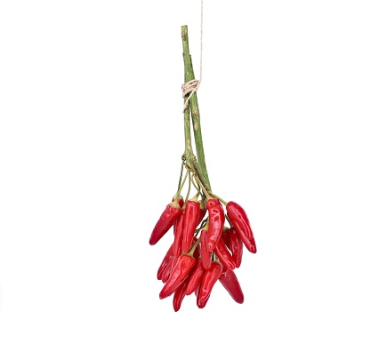 Bunch of red chili peppers hanging from a rope. White background. white background.
