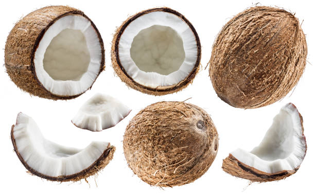 istock Set of different cracked coconut fruit piece isolated on white background. 1278965853