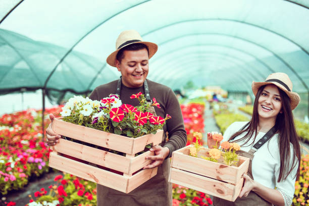 istock Our Flowers Are The Best 1278966400