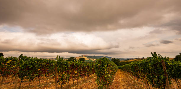 istock Bernardella, Ascoli Piceno, Marche. Summer views 1278967117