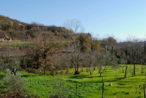 istock Teano. Campania Felix. Views 1278968791