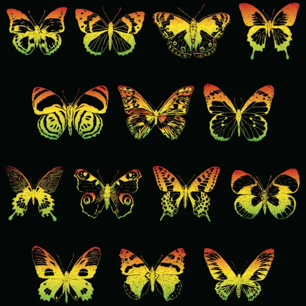 Vector illustration of Vector image of set various colorful butterflies