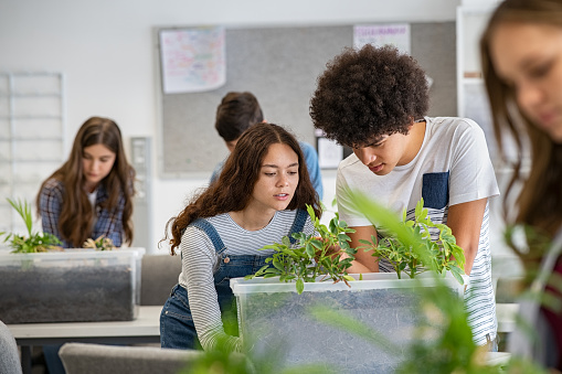 Multiethnic students analyzing and working on plant experiment in school lab. Group of high school students in science laboratory understanding the study of roots with plants. Young man and girl studying  and examine the growth of sprouts in university class.