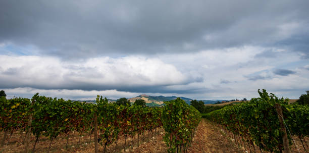 istock Bernardella, Ascoli Piceno, Marche. Summer views 1278976664