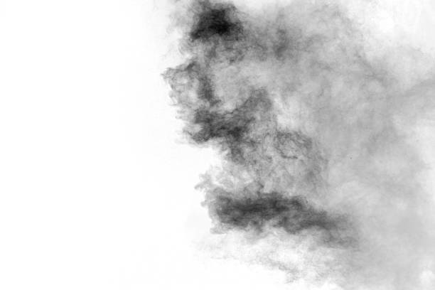 黒い粒子は、白い背景をスプラッタします。白い背景の黒い塵のスプラッシュ。 - フラックスデザイン ストックフォトと画像