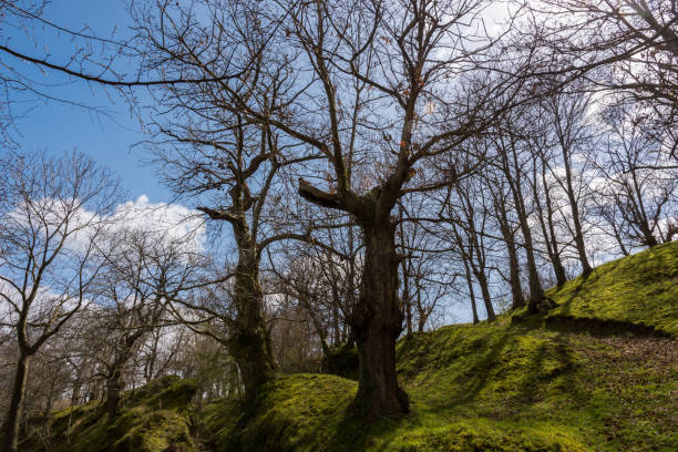 istock Teano. Campania Felix. Views 1278977350