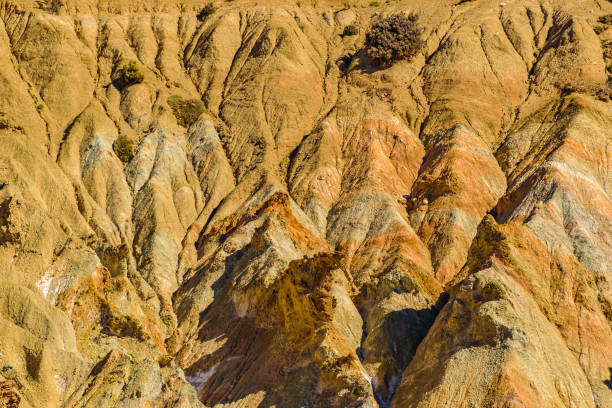 istock Arid Landscape Brava Lagoon Reserve La Rioja, Argentina 1278978567