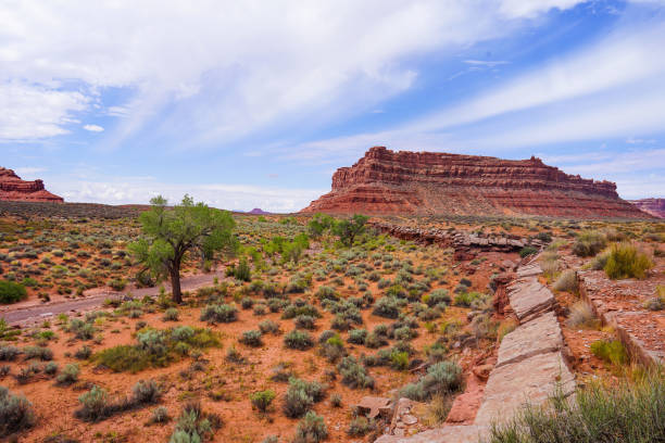 istock Desert Landscape in Utah 1278978599