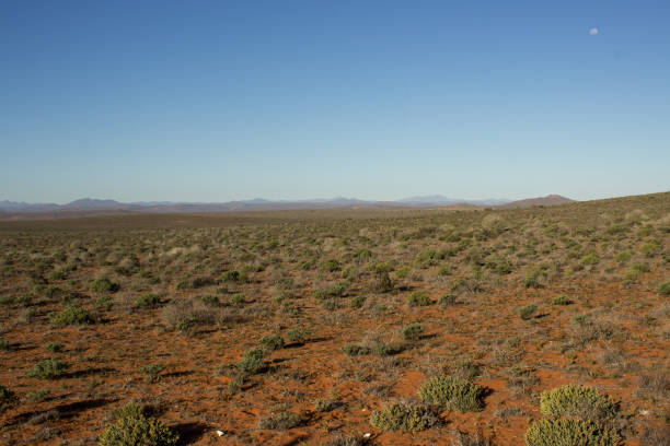 A captivating view of a South African desert landscape near Cape Town, showcasing a serene river bordered by sparse vegetation and arid hills under a slightly overcast sky.