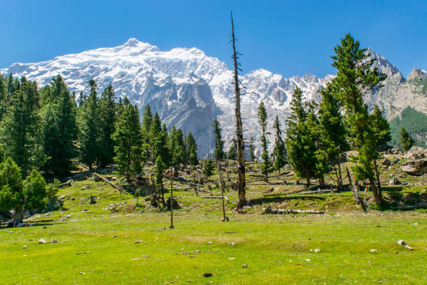 istock Mountain peaks, lakes, valleys, pastures, meadows and forests in Karakoram mountain range 1278981337