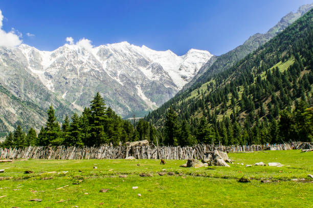 istock Mountain peaks, lakes, valleys, pastures, meadows and forests in Karakoram mountain range 1278981376