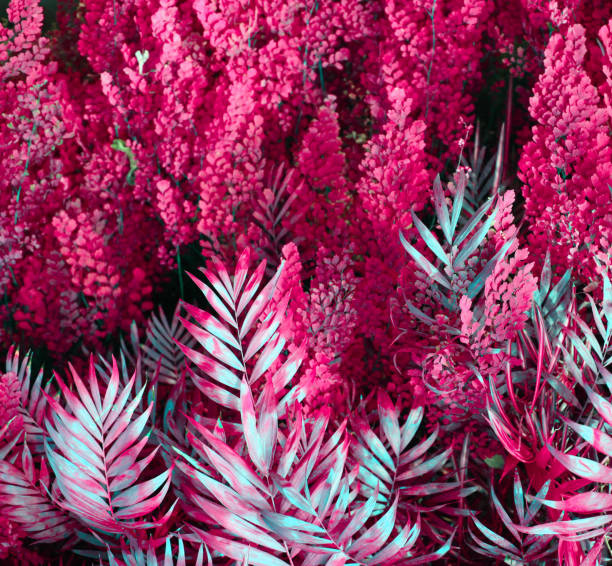 istock Wall with tropical plants. Nature red background. 1278982444