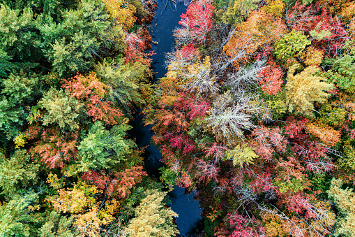 Aerial drone view of an Autumn landscape.