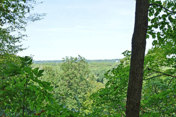 istock Overlook at Starved Rock State Park in Illinois 1278985769