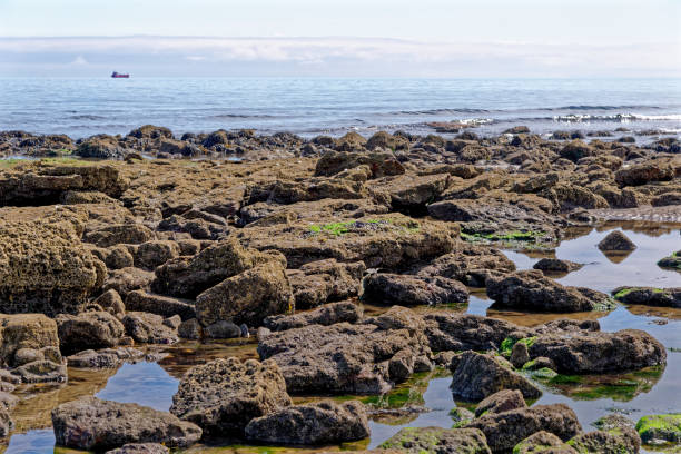 istock Rocky beach - Durham Heritage Coast 1278986079