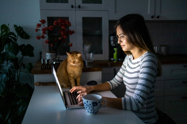 donna concentrata che lavora fino a tarda ora con il suo laptop - animal recovery illness pets foto e immagini stock