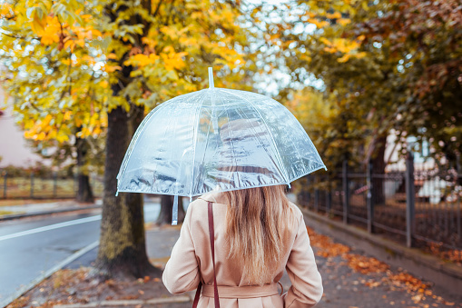 Woman walking along autumn city street under transparent umbrella during rain. Fall season dull weather. Back view
